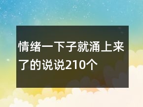 情緒一下子就涌上來(lái)了的說(shuō)說(shuō)210個(gè)