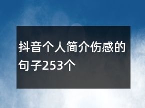 抖音個人簡介傷感的句子253個