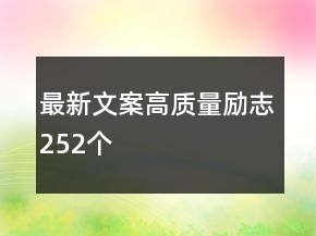 最新文案高質(zhì)量勵志252個