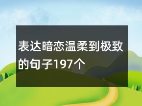 表達暗戀溫柔到極致的句子197個