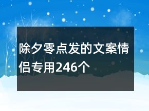 除夕零點(diǎn)發(fā)的文案情侶專用246個(gè)