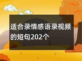 適合錄情感語錄視頻的短句202個