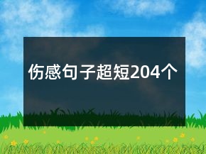 傷感句子超短204個(gè)
