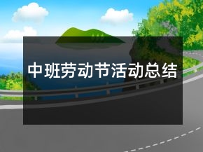 中班勞動(dòng)節(jié)活動(dòng)總結(jié)