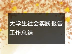 大學生社會實踐報告工作總結(jié)