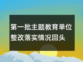第一批主題教育單位整改落實(shí)情況回頭看精選