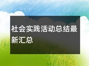 社會實踐活動總結(jié)最新匯總