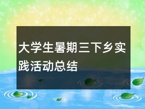 大學(xué)生暑期三下鄉(xiāng)實(shí)踐活動(dòng)總結(jié)
