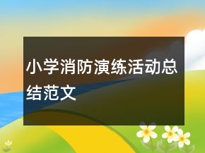 小學(xué)消防演練活動(dòng)總結(jié)范文