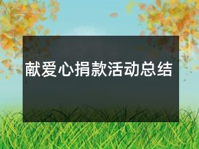 獻愛心捐款活動總結(jié)