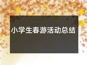 小學生春游活動總結