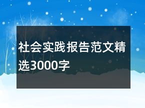 社會(huì)實(shí)踐報(bào)告范文精選3000字