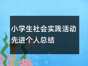 小學(xué)生社會實踐活動先進個人總結(jié)