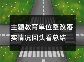主題教育單位整改落實情況回頭看總結匯報范文