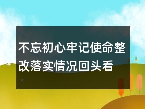 不忘初心牢記使命整改落實(shí)情況回頭看總結(jié)匯報(bào)精選