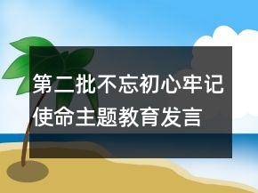 第二批不忘初心牢記使命主題教育發(fā)言材料大全