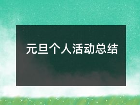 元旦個人活動總結(jié)