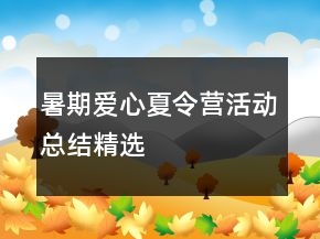 暑期愛心夏令營活動總結(jié)精選
