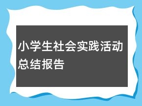 小學(xué)生社會實踐活動總結(jié)報告