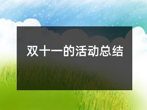 雙十一的活動(dòng)總結(jié)