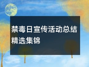 禁毒日宣傳活動總結精選集錦