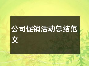 公司促銷活動總結范文