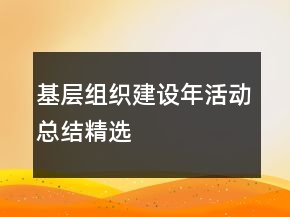 基層組織建設(shè)年活動(dòng)總結(jié)精選