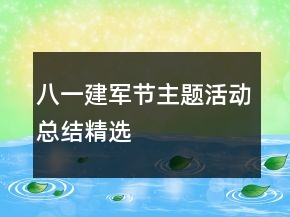 八一建軍節(jié)主題活動總結(jié)精選