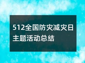 512全國防災(zāi)減災(zāi)日主題活動總結(jié)
