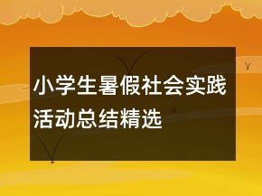 小學(xué)生暑假社會實踐活動總結(jié)精選