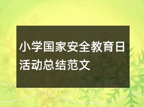 小學(xué)國家安全教育日活動總結(jié)范文