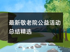 最新敬老院公益活動(dòng)總結(jié)精選