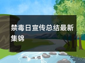 禁毒日宣傳總結(jié)最新集錦