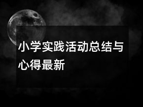 小學(xué)實踐活動總結(jié)與心得最新