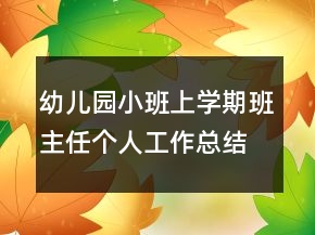 幼兒園小班上學(xué)期班主任個(gè)人工作總結(jié)