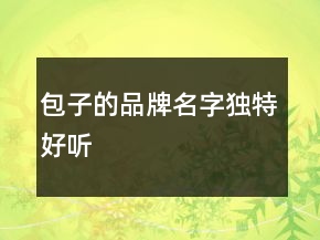 包子的品牌名字獨(dú)特好聽