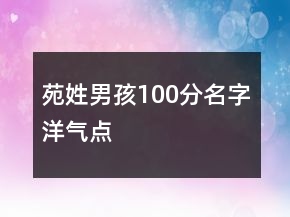 苑姓男孩100分名字洋氣點(diǎn)