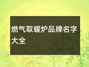 燃?xì)馊∨癄t品牌名字大全