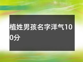 植姓男孩名字洋氣100分