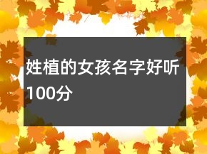 姓植的女孩名字好聽100分