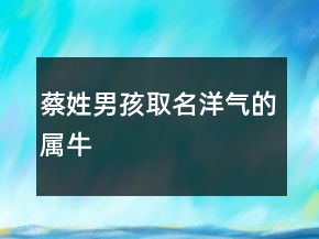 蔡姓男孩取名洋氣的屬牛
