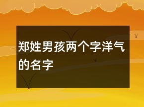 鄭姓男孩兩個字洋氣的名字