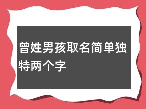 曾姓男孩取名簡單獨(dú)特兩個(gè)字
