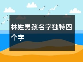 林姓男孩名字獨(dú)特四個(gè)字
