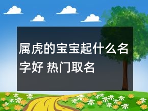 屬虎的寶寶起什么名字好 熱門取名