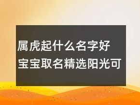 屬虎起什么名字好 寶寶取名精選陽光可愛