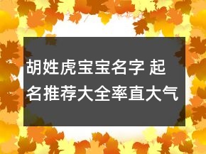 胡姓虎寶寶名字 起名推薦大全率直大氣