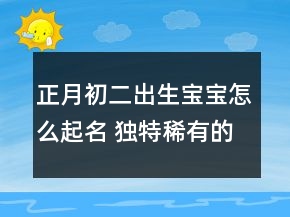 正月初二出生寶寶怎么起名 獨(dú)特稀有的名字