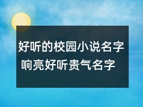 好聽(tīng)的校園小說(shuō)名字 響亮好聽(tīng)貴氣名字優(yōu)選