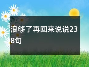 浪夠了再回來說說238句